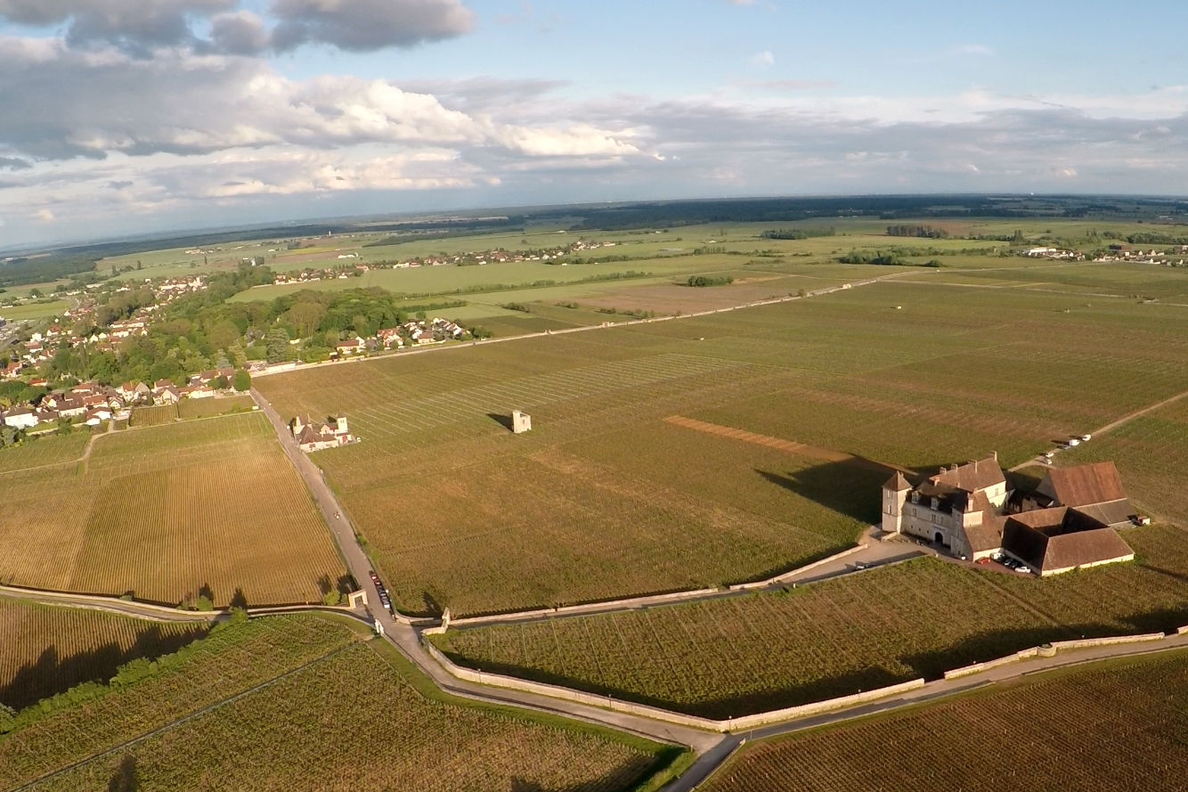 The vineyards around the Château du clos de Vougeot are among the most prized in the world, but in recent years the weather has driven smaller yields. Credit: Copyright 2016 David Baker
