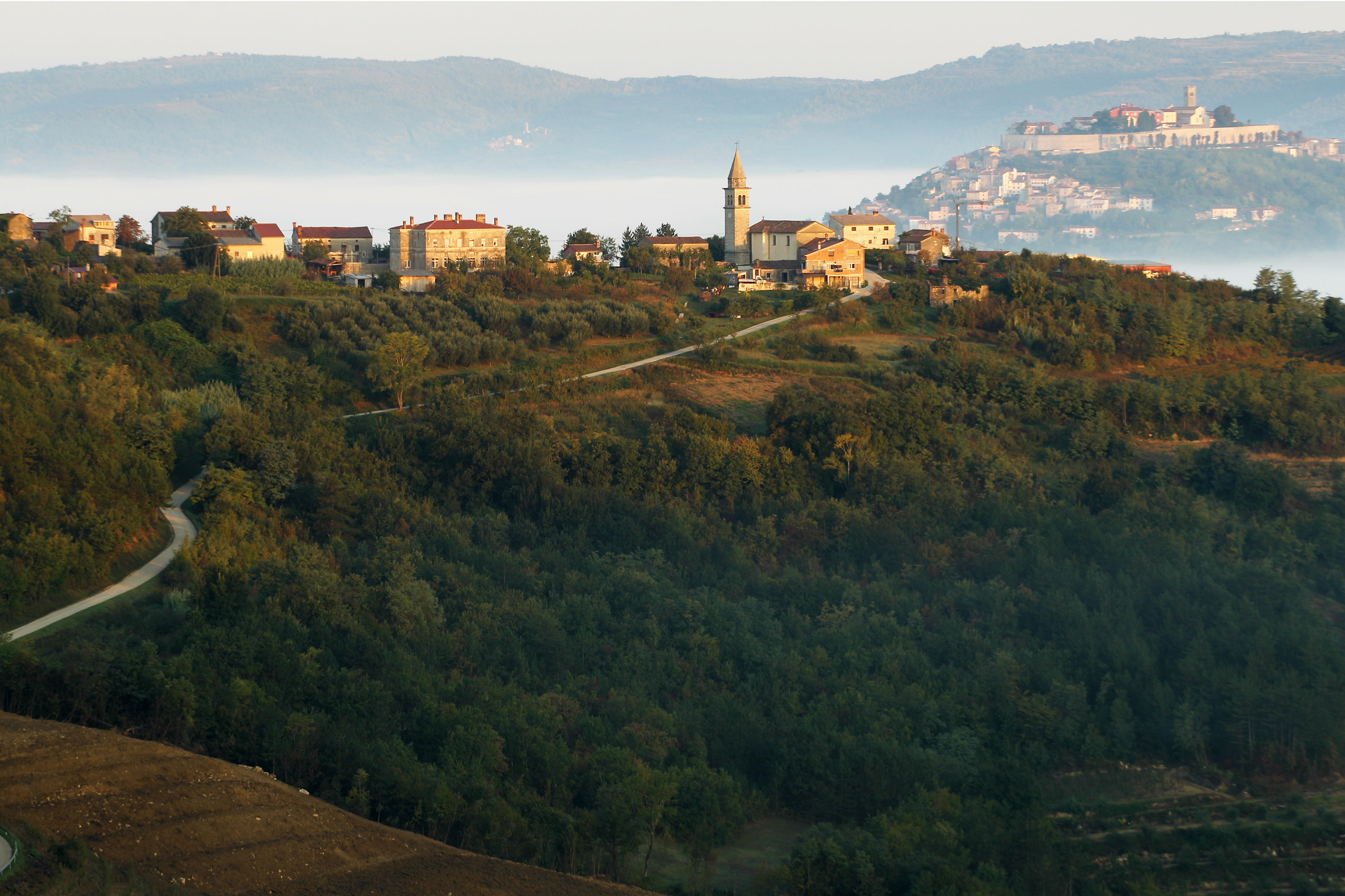 Although they have been grape growers for three generations, the Benvenuti family only started making and bottling their own wine in 2003. Credit: Courtesy of Benvenuti winery 